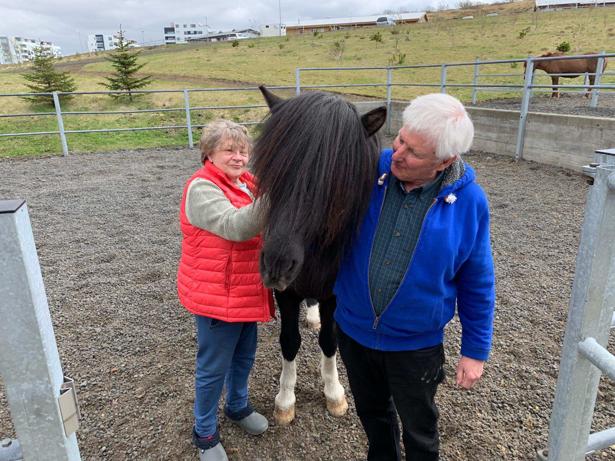 Alice and Mark Peal at Hulda Geirsdóttir's stable in Kópavogur, Iceland